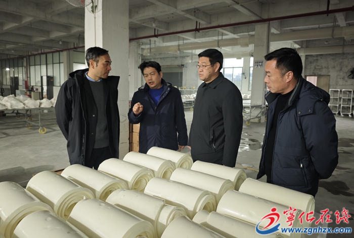 市領(lǐng)導(dǎo)來寧化調(diào)研節(jié)后復(fù)工復(fù)產(chǎn)情況