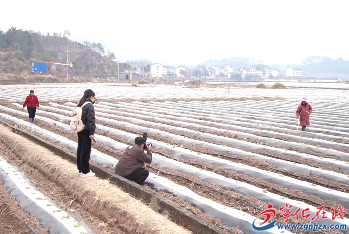 新春送“福”到寧化 “遠山三人行”文化暖人心