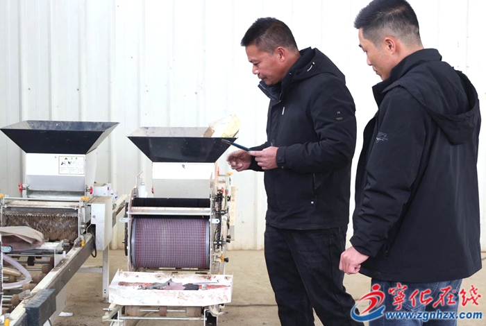 寧化:萬象“耕”新不負春 繪好春耕“保障圖”