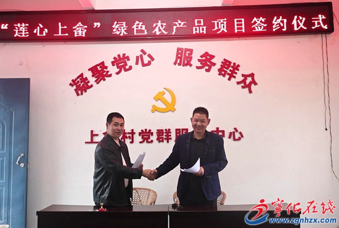 城郊鎮上畬村:舉行百畝蓮子種植項目簽約儀式