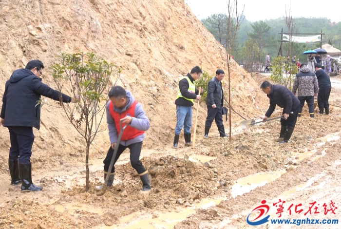 淮土鎮:義務植樹添新綠 踐行生態展擔當