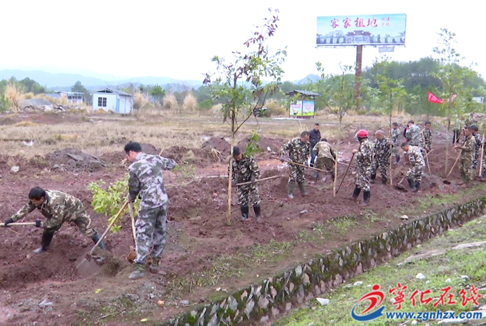 石壁鎮：開展植樹活動 共添一片新綠