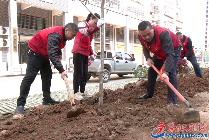 寧化積極開展植樹活動