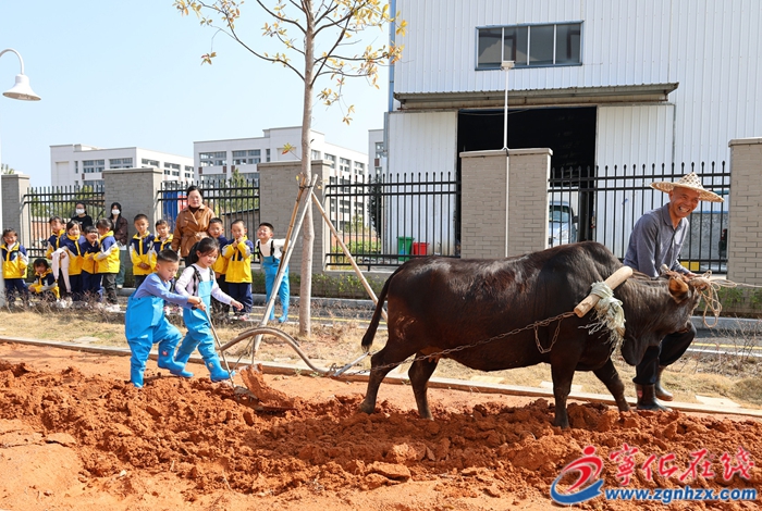 寧化縣積極開展春日特色活動