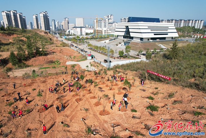 寧化縣開(kāi)展全民義務(wù)植樹(shù)活動(dòng)