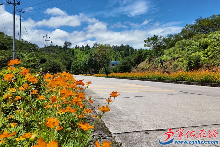 寧化省道221線安遠段完成“三化”改造 帶動鄉村經濟發展