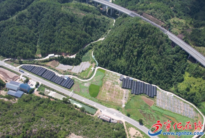 淮土鎮：加快推進閩臺農業融合發展示范園建設