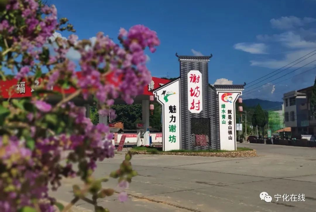 1300萬元!寧化2個以工代賑項目再獲中央預算內資金支持