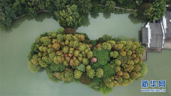 合肥：環城公園秋色美