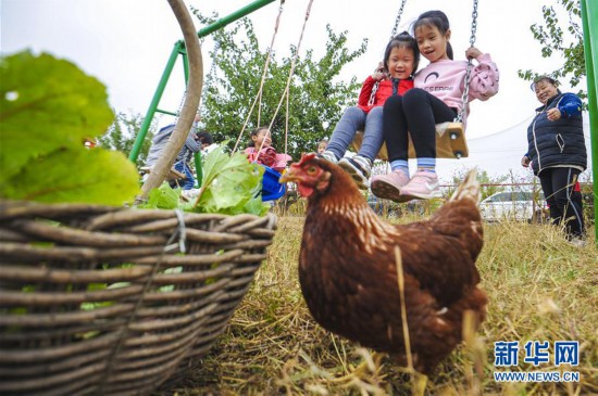 河北永清：“農業+文化+旅游”推動鄉村振興