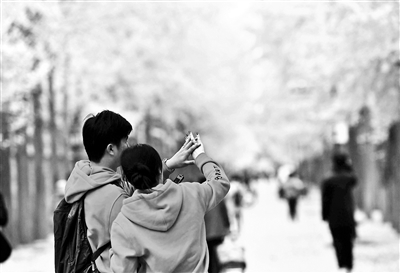 圓明園設自然生態區延長最美秋景