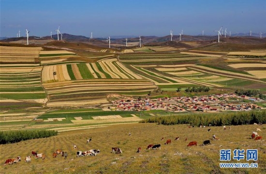 (社會)(2)壩上秋色美如畫