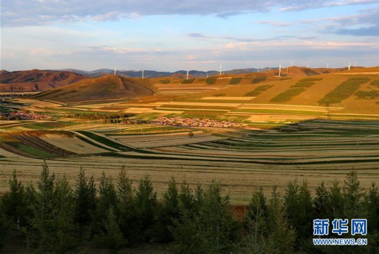 (社會)(1)壩上秋色美如畫