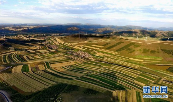 (社會)(4)壩上秋色美如畫