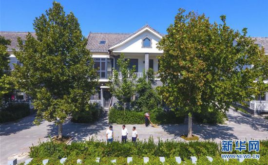 河北阜城：大皇莊村的美麗蝶變