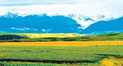 新疆尼勒克 ：出門即景 行走是游