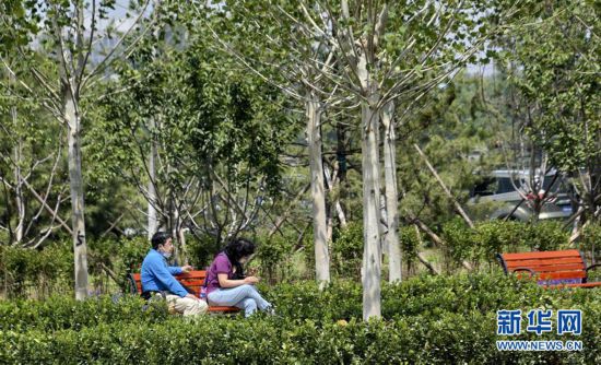 為城市添綠 為市民遮蔭