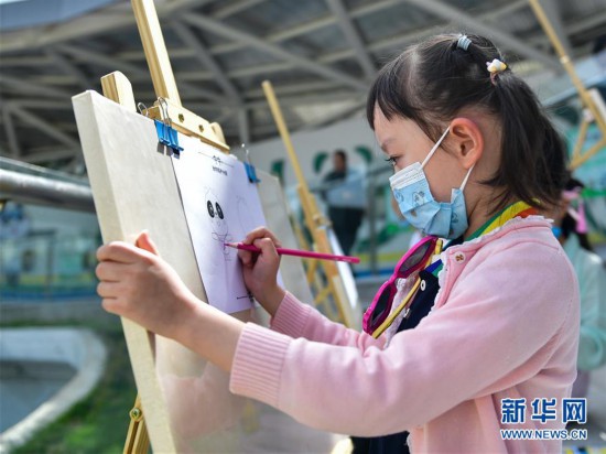 青海西寧：熊貓館里迎“六一”