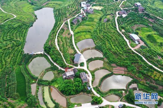 重慶：夏日山鄉美