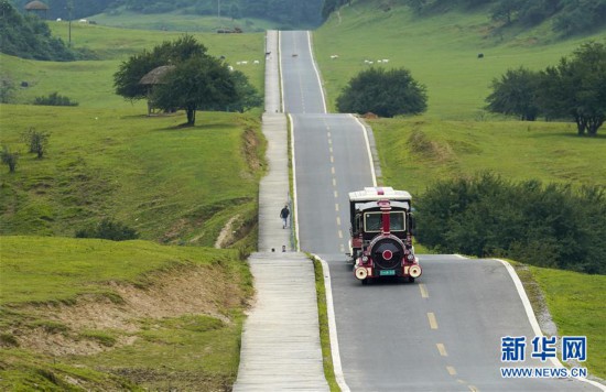 重慶武隆：避暑休閑游升溫