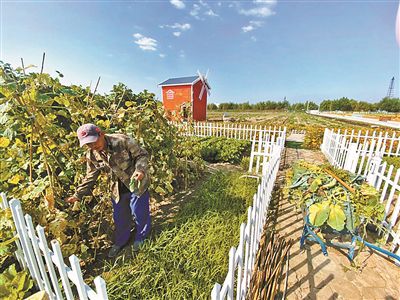 北京豐臺打造鄉(xiāng)村旅游“網(wǎng)紅打卡點”