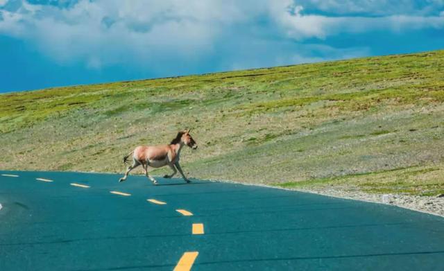 五月旅行地推薦!這3個地方或驚艷或安逸,有些周末就能去